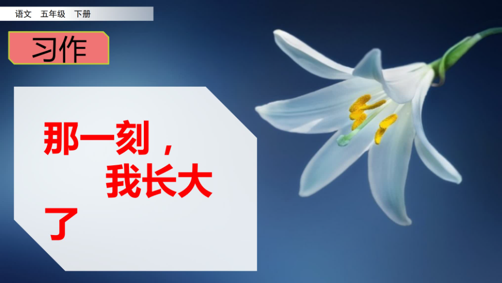 教师课件-（习作：那一刻我长大了）