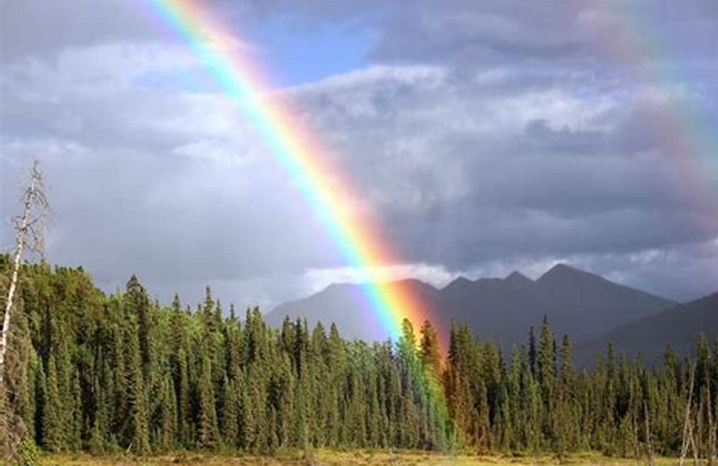 🌈 神奇的彩虹：阳光与雨滴的魔法秀