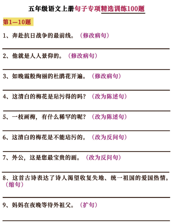 小学语文字词句练习